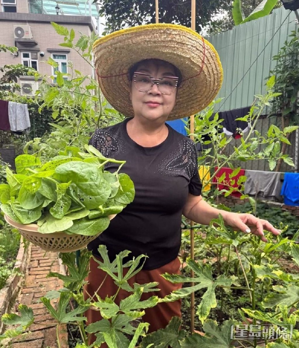 肥媽位於大埔的豪宅設有小農地供她種植。