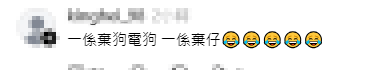 有網民翻出舊賬，批評兩人過往與寵物及現在與兒子的相處方式。

*(註：此為對原文網民尖銳評論的概括性改寫，避免直接引用爭議性字眼)*