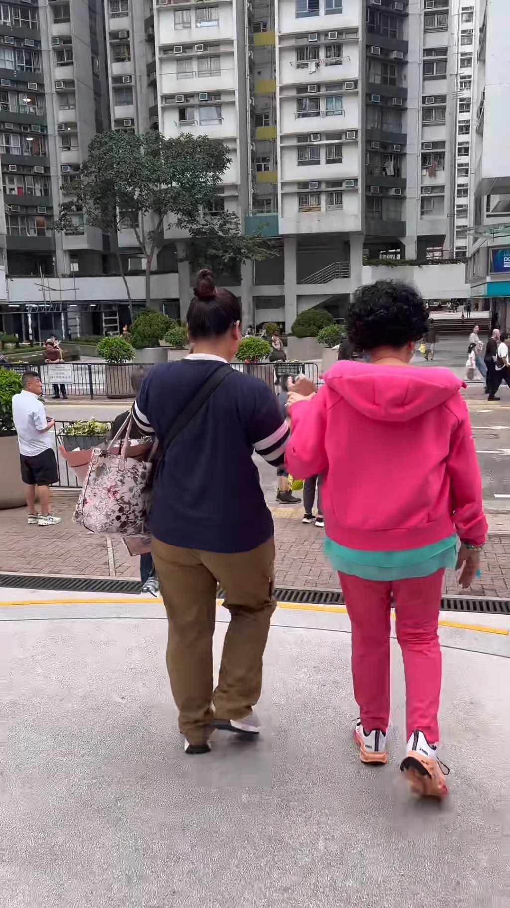 薛家燕全程需由工人扶穩。