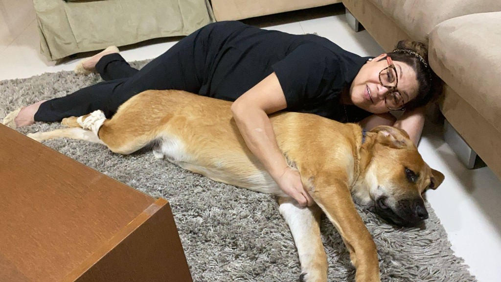 然而，其愛犬Barney早前不幸離世。