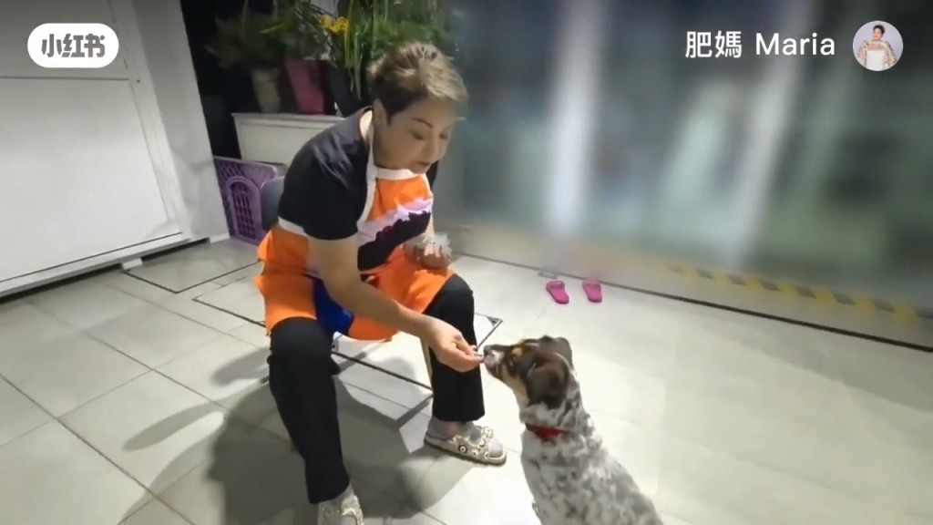 肥媽其後從愛護動物協會領養了一隻小狗，取名「Money」。