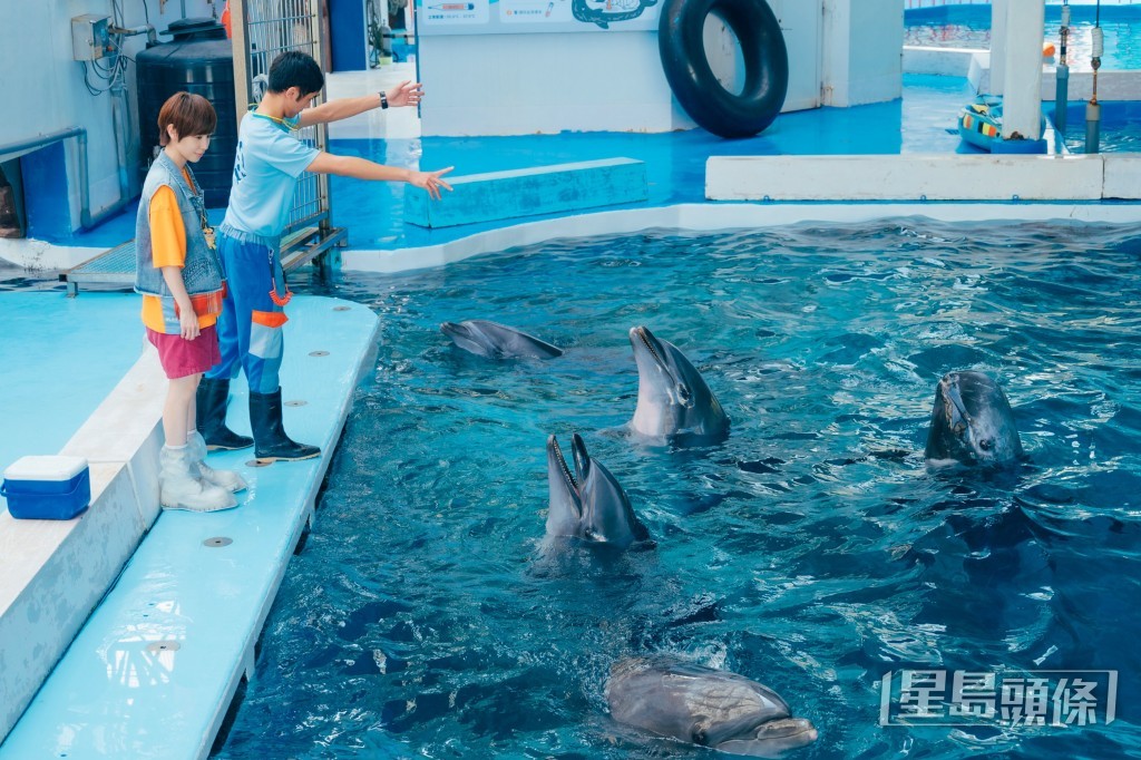 海豚照護員正在示範如何與海豚互動。