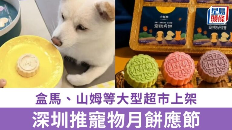 深圳中秋月餅市場現新趨勢 低糖、藥食同源及寵物專屬產品受追捧