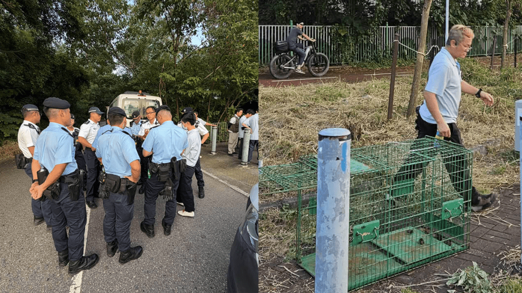 元朗狗隻襲擊案 警方聯同漁護署再捕三犬 累計八犬被扣查