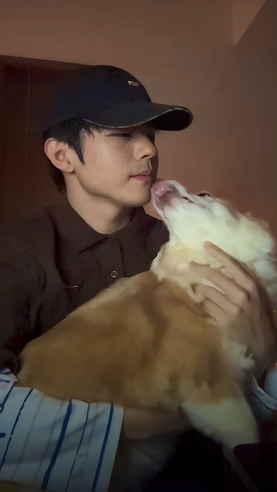 Ian在MV中讓愛犬雞髀與芝麻亮相，兩隻小狗活潑可愛。