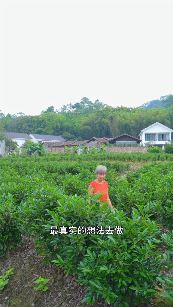 唐寧選擇依從最真實的想法行事。