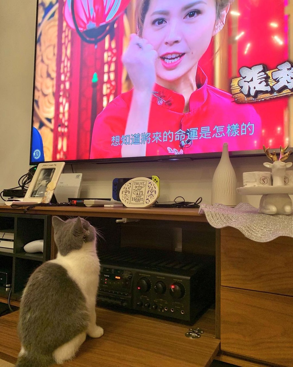 客廳有部大電視。