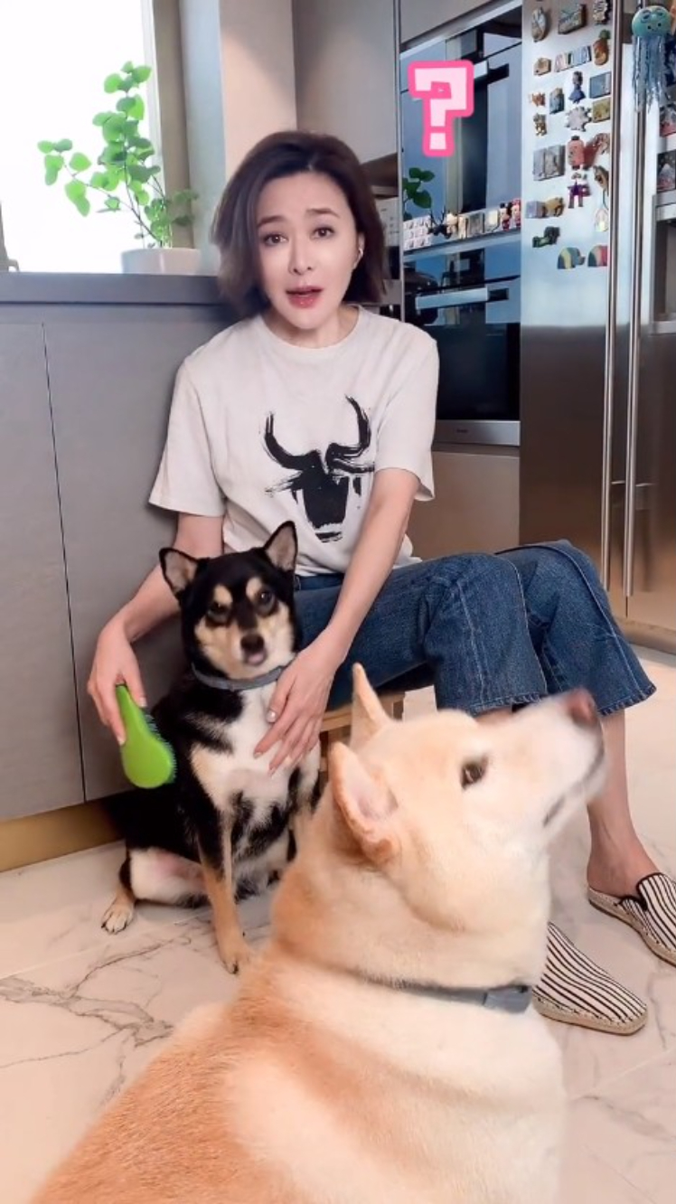 關之琳的豪宅空間寬敞,讓愛犬有充足活動空間。