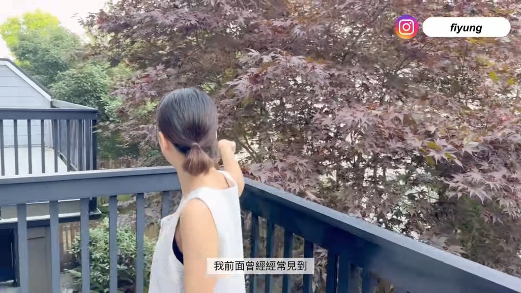 這間獨立屋擁有花園與露台。