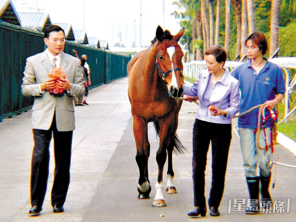 白韻琹早年擁有賽駒「小燕子」。現時謝偉俊名下賽駒出賽，她間中會入馬場支持。