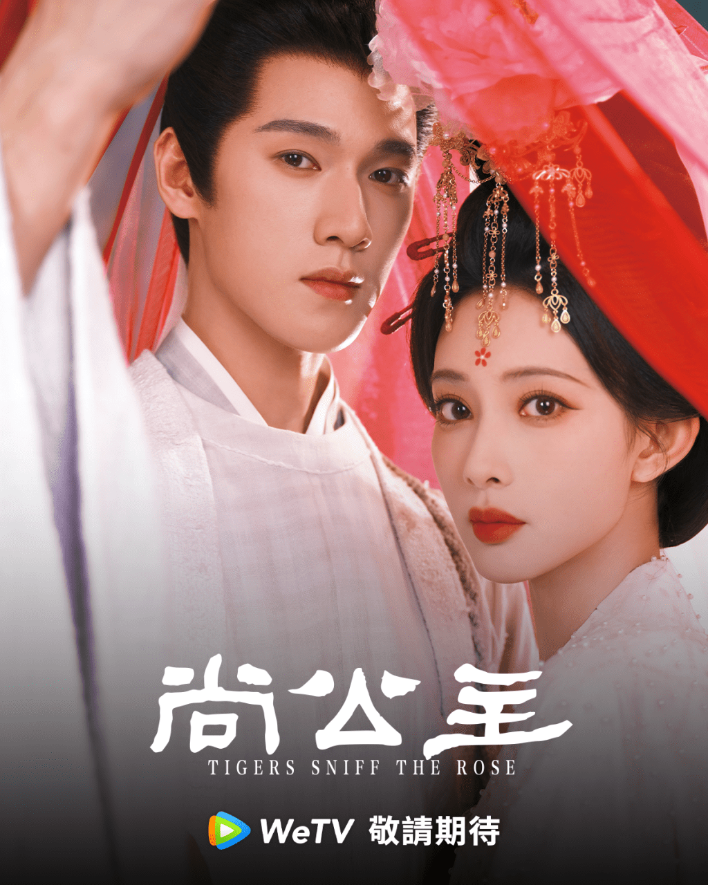 《尚公主》由孟子義與李昀銳共同主演。