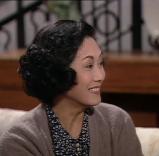 白茵在TVB參演的劇集包括《親情》、《萬水千山總是情》、《鹿鼎記》、《掌上明珠》等。