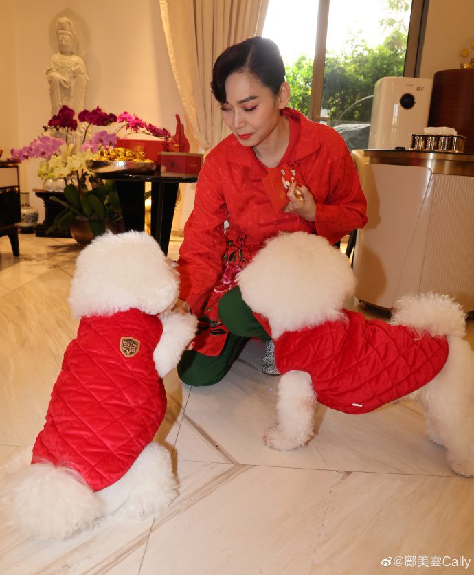 鄺美雲將愛犬視如己出，非常疼愛。