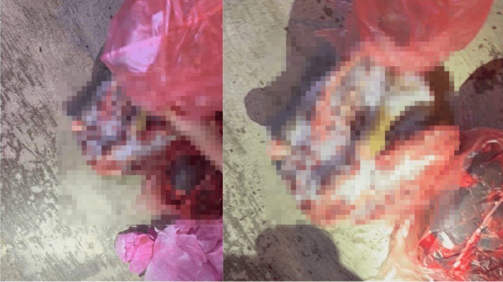 台灣新竹查獲地下狗肉交易 動物團體喬裝買家揭發