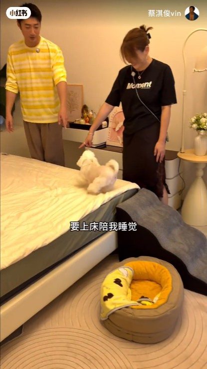 蔡淇俊在主人房床邊設置了寵物專用階梯，方便愛犬上床陪伴他們。