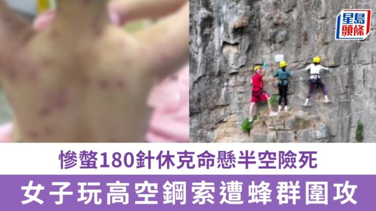 淄博露營地發生高空意外 女子體驗飛拉達遭蜂群螫傷休克