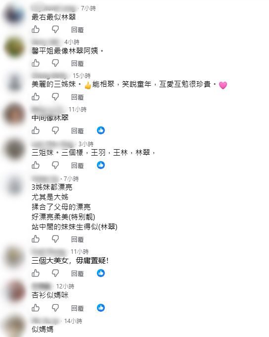 網民對王馨平三姊妹的顏值各有看法。