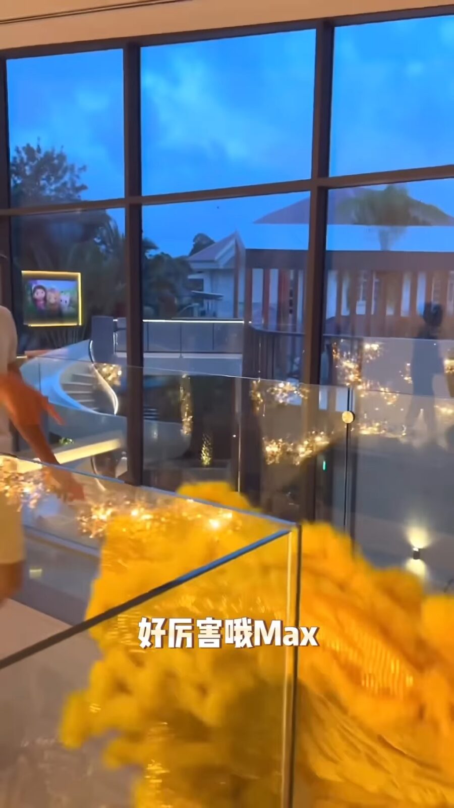 從窗外望出去的風景。