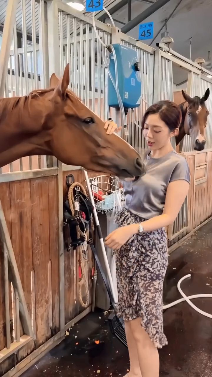 王賢訊的愛駒名叫「安駖」。