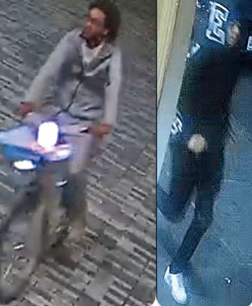 圖為涉案團夥。 NYPD