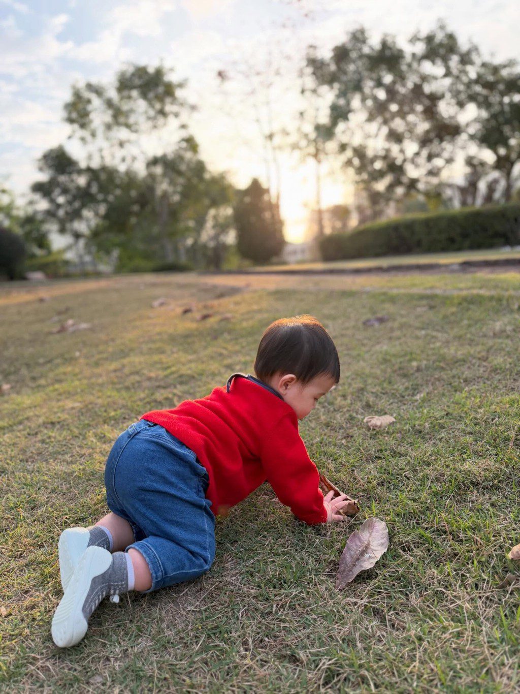 麥明詩的兒子在草地上玩耍，對落葉感到好奇。