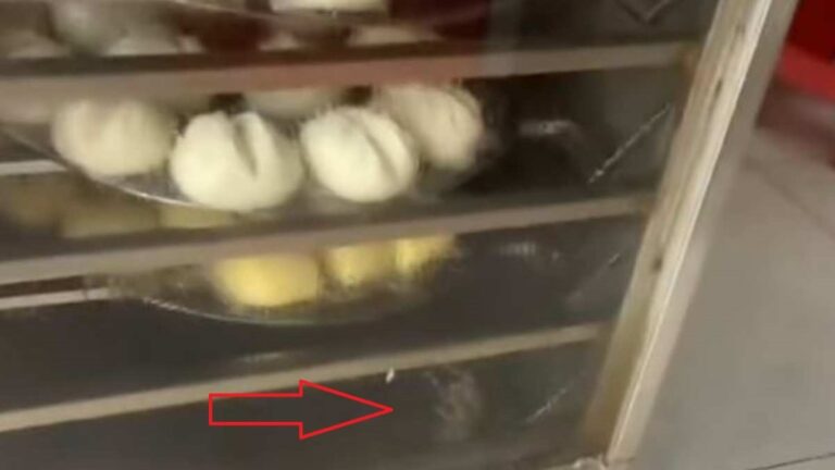 海南餐館蒸櫃發現死鼠 食客稱包子有異味