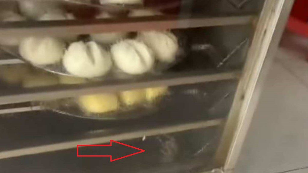 海南餐館蒸櫃發現死鼠 食客稱包子有異味