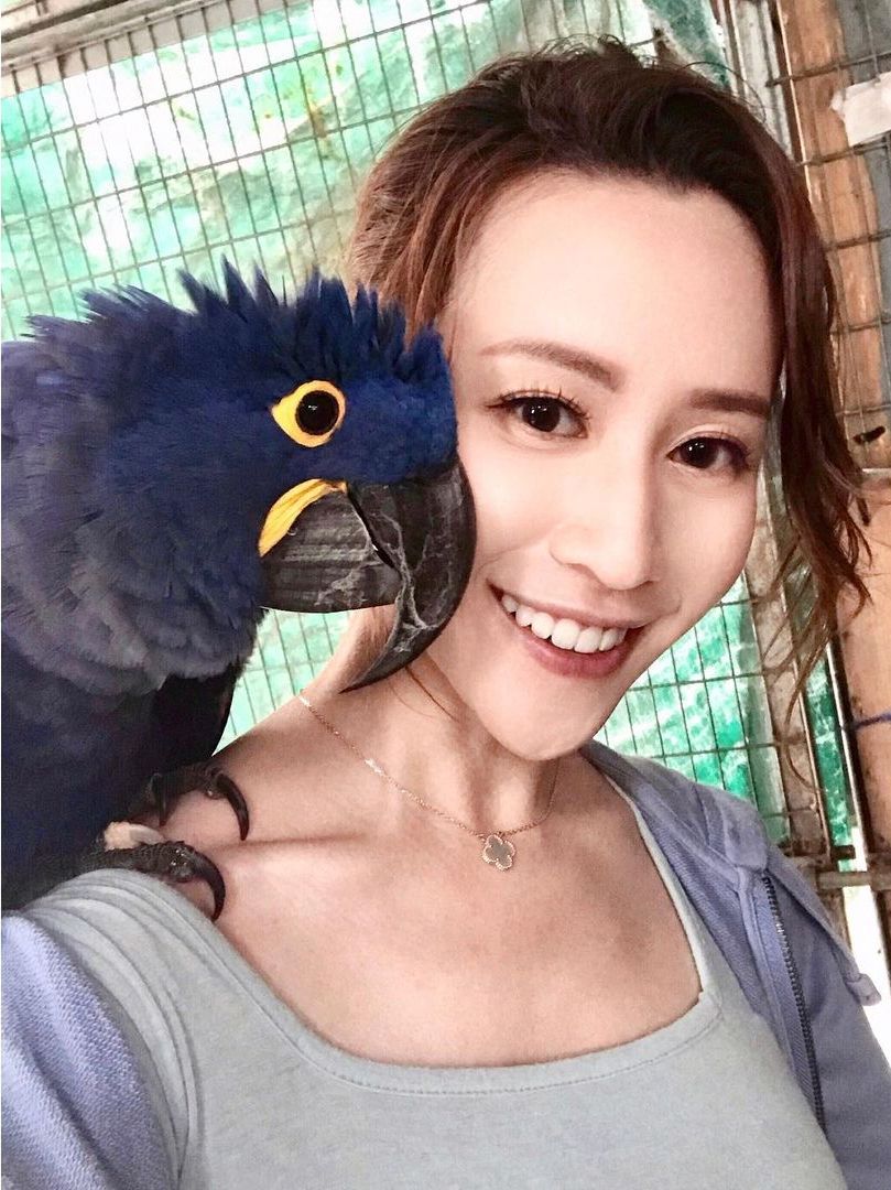 梁菁琳曾任職異寵獸醫。