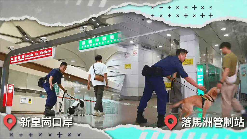 新皇崗口岸啟用 海關引入高科技全面提升通關效率與執法精準度