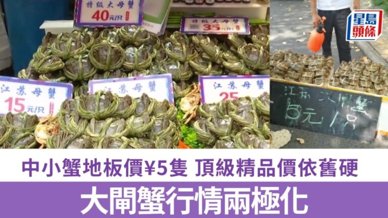 大閘蟹市場價格兩極分化 中小蟹價跌精品蟹價穩