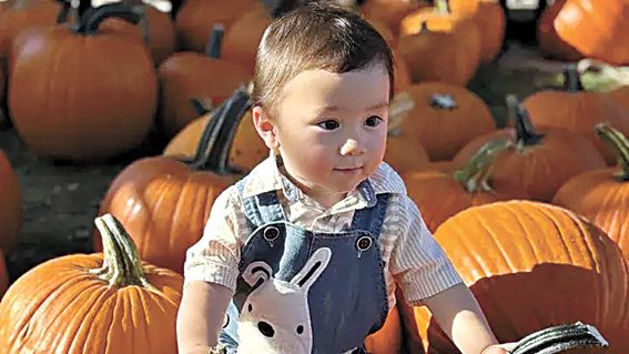 2歲男童加布里埃爾慘被撞死。 Gofundme圖片