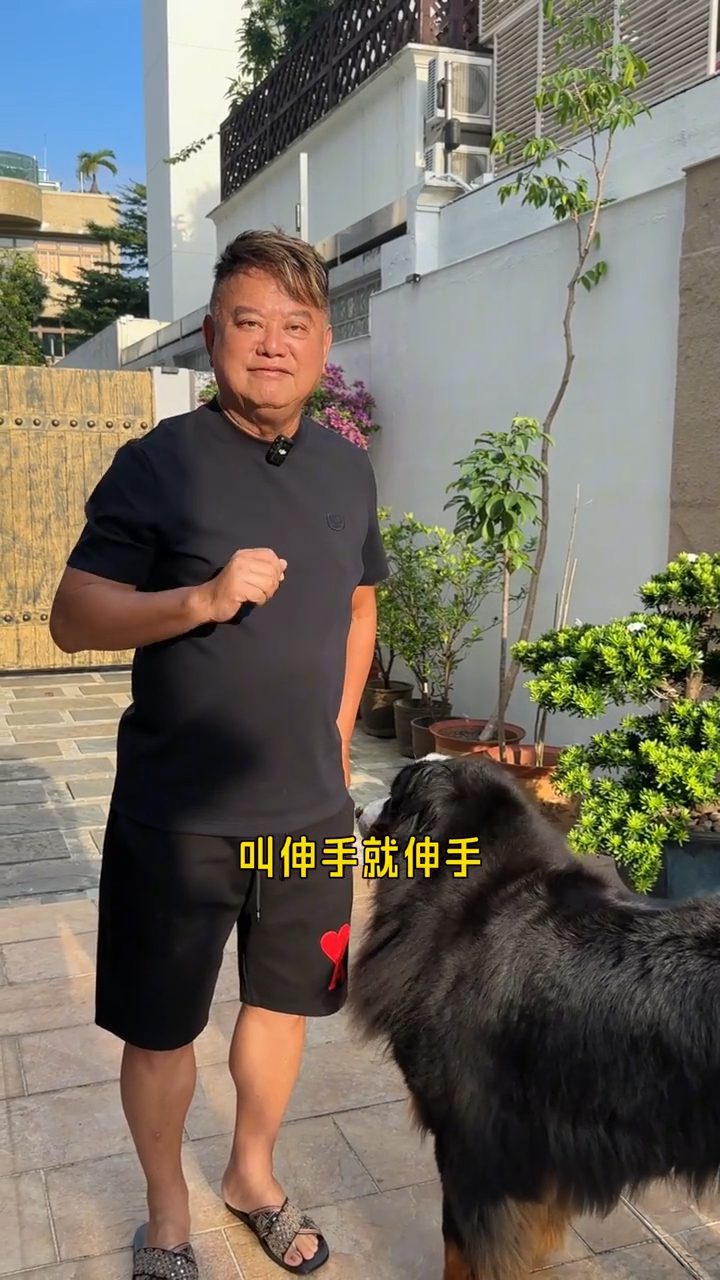 陳百祥的愛犬非常乖巧,能夠完成握手等多項指令。