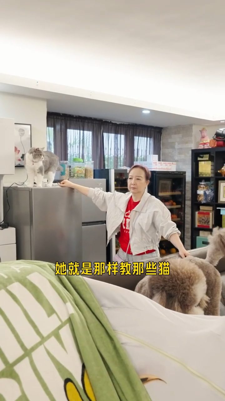影片中所見,家中的貓狗都與秀姑十分親近。
