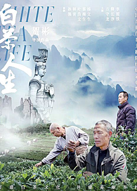 影片以三位身分迥異的白茶匠人作為敘事主線。網上圖片