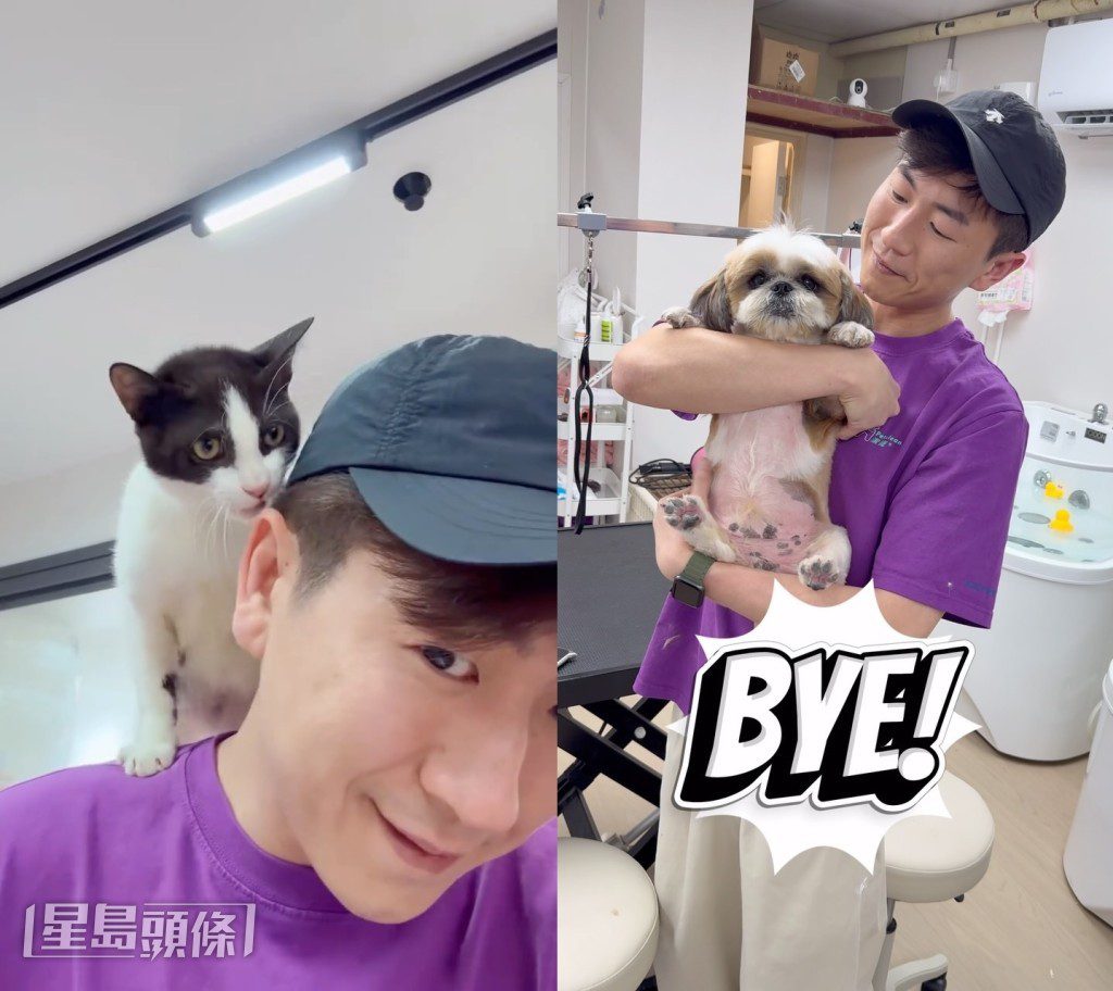 馬貫東喜愛貓狗,希望能幫助更多小動物找到安身之所。