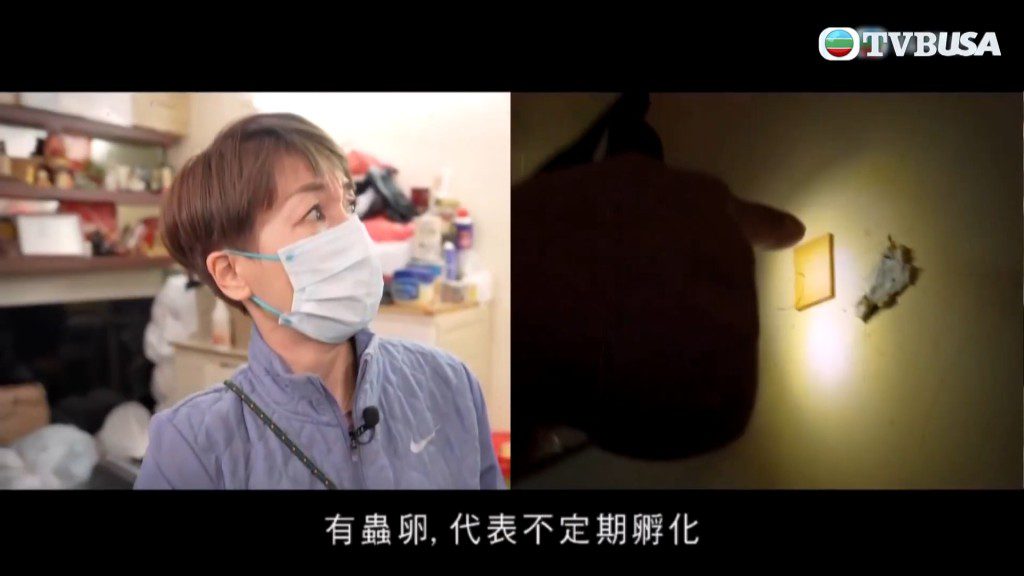 江美儀主持的TVB節目《一個好人》於2024年播出。
