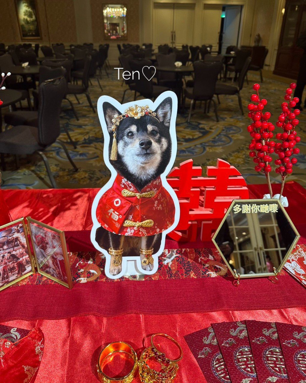 婚宴接待桌擺放愛犬「Ten」的人形立牌,配以中式飾物。