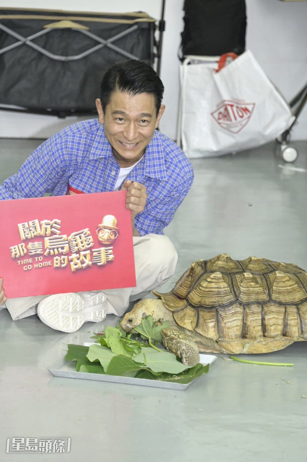 劉德華答應親身參與電影演出。