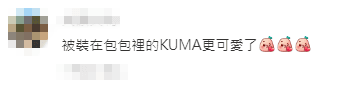 粉絲看到Kuma被放進名牌袋的模樣,大讚「被裝在包裡的KUMA更可愛了!」