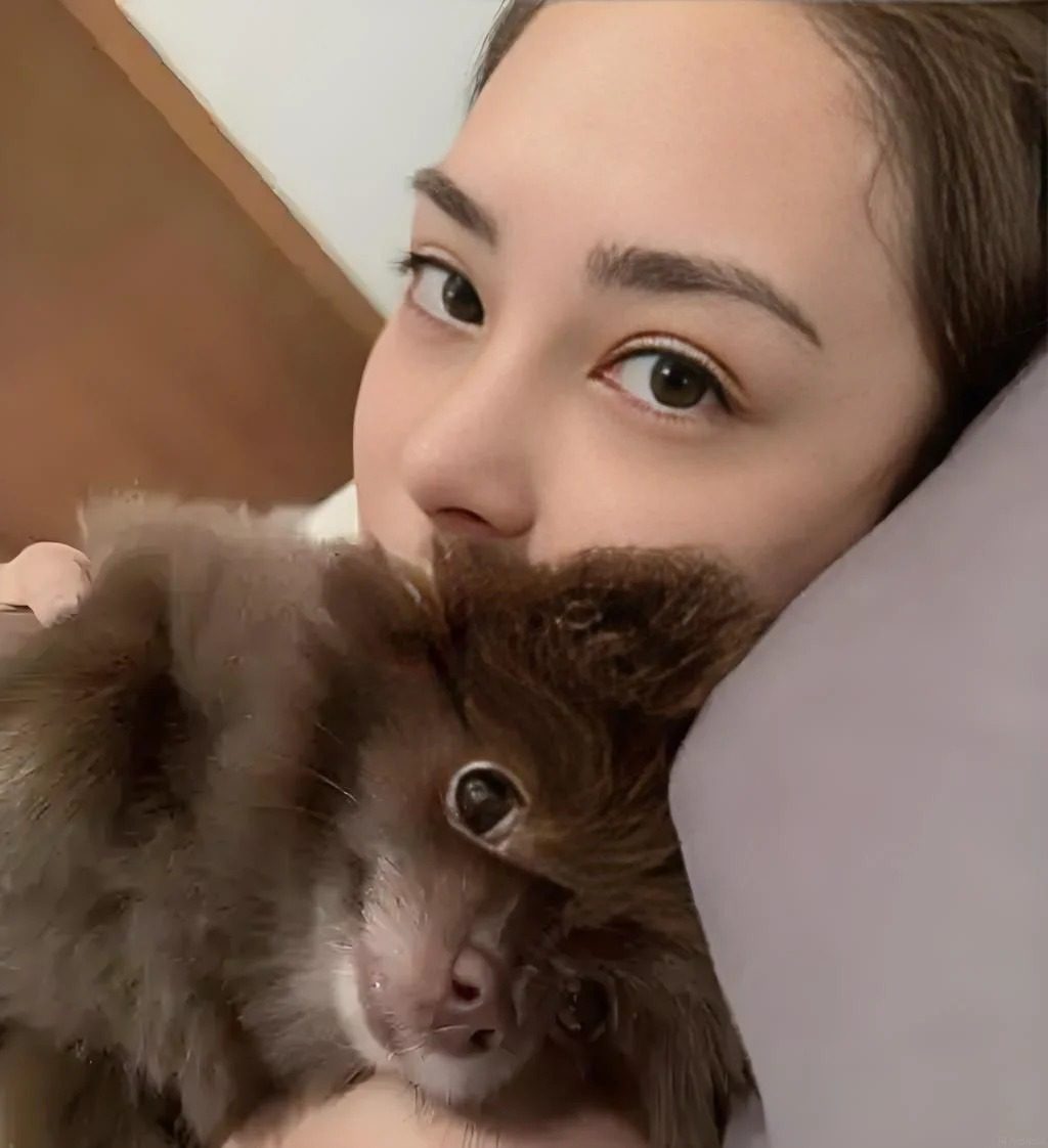 鍾欣潼與Kuma親密擁抱,感情深厚如同家人。