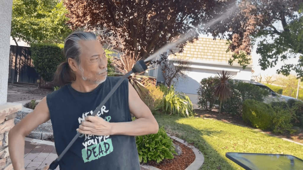 夏韶聲在綠草如茵的大花園中打理庭院。