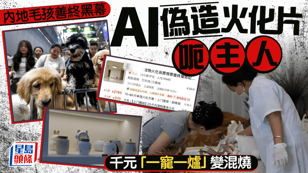 寵物善終服務亂象:無牌作坊混燒遺體 以AI偽造火化過程