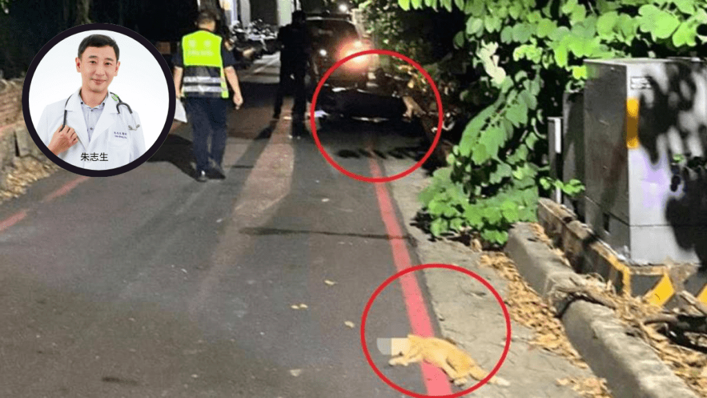 台灣心臟科權威醫師為趕回醫院救人 閃避街貓不幸車禍身亡
