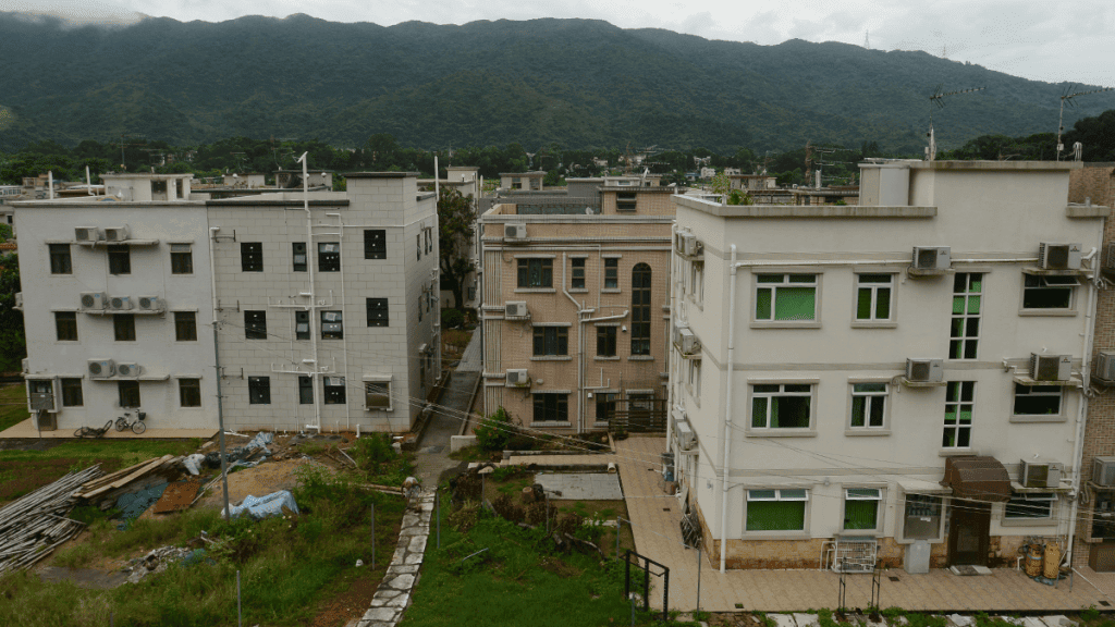 大埔社山村家貓死亡 貓主指鄰居飼養多隻唐狗 警方介入調查