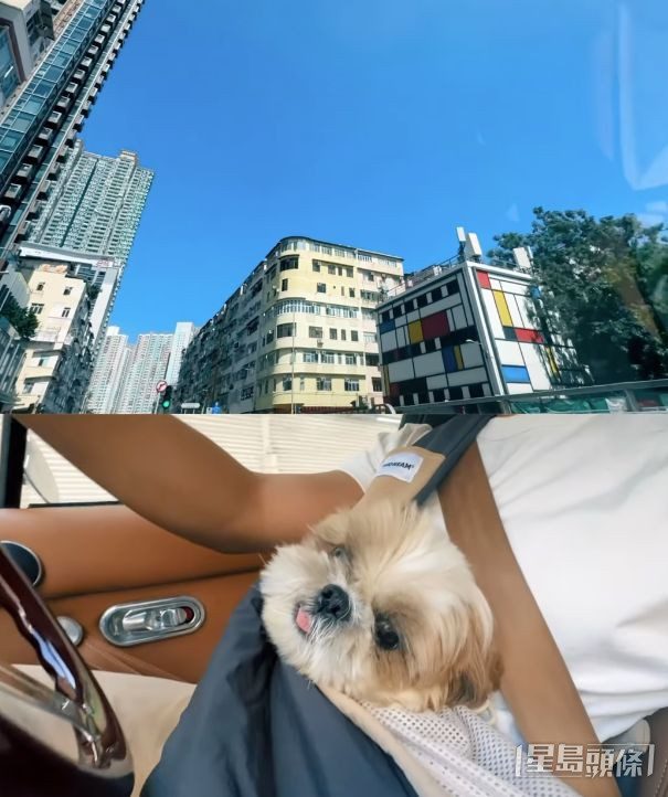 張振朗不時會在社交媒體記錄與愛犬的生活點滴。