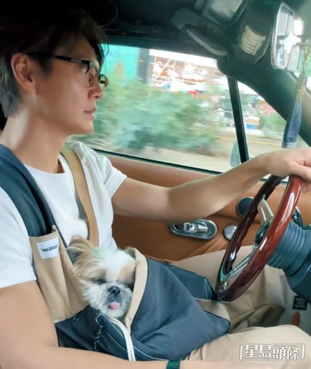 張振朗駕駛其復古座駕，帶着寶貝狗狗享受駕車樂趣。