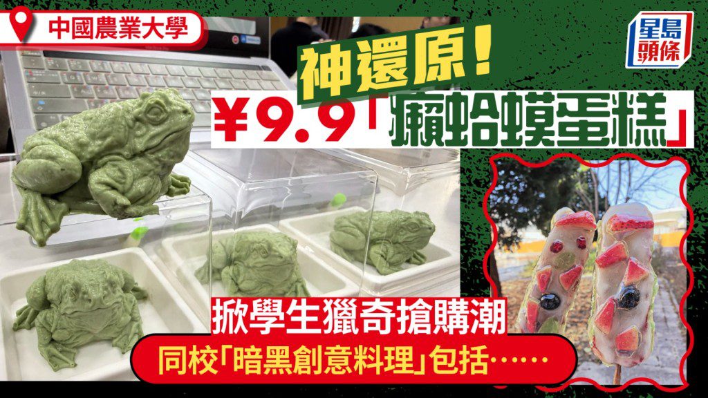 中國農業大學食堂推出「青蛙王子」蛋糕 造型獨特引發學生搶購