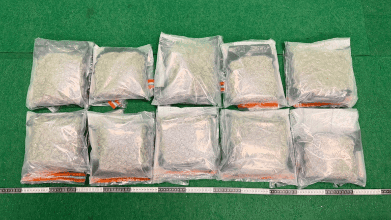 香港海關機場偵破兩宗販毒案 檢170萬元大麻花拘兩內地男
