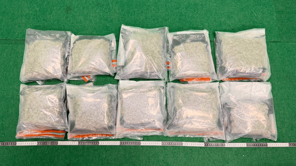 香港海關機場偵破兩宗販毒案 檢170萬元大麻花拘兩內地男