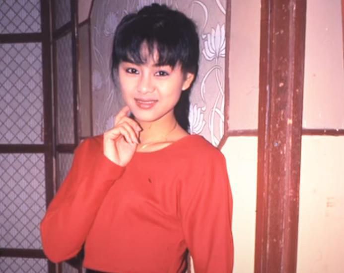 姚正菁於80年代透過參加電視小姐選舉而入行。